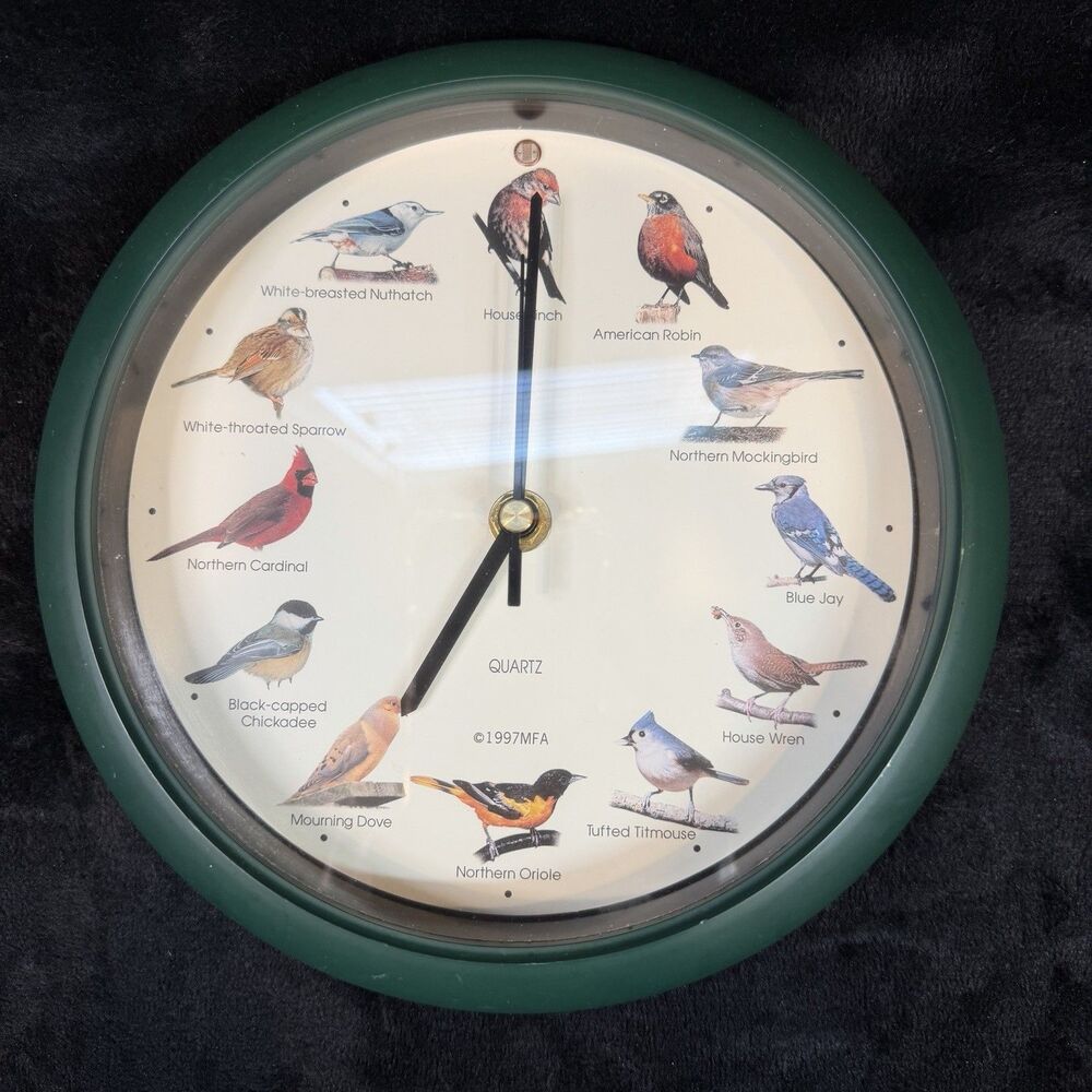 Bird Birdsong Wall Clock 12 Bird Illustrations Music Calls Green Vintage WORKS
